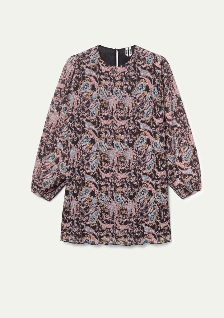 Paisley - Wild Pony - Orchid Boutique
