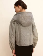 Zamia - Emme - Orchid Boutique