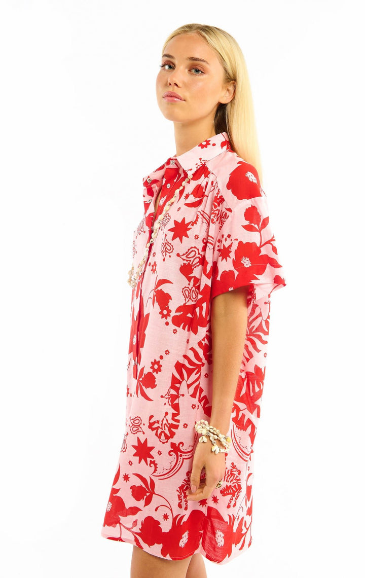 Argancia - Wild - Orchid Boutique