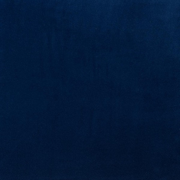 Desidero Navy