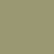 Marella Favetta Oil Green - Marella - Orchid Boutique