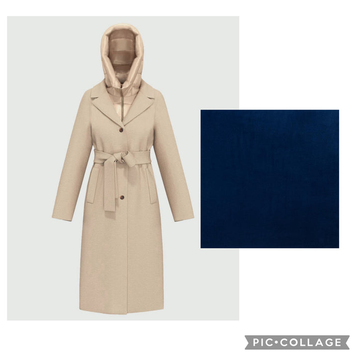 Desidero Navy