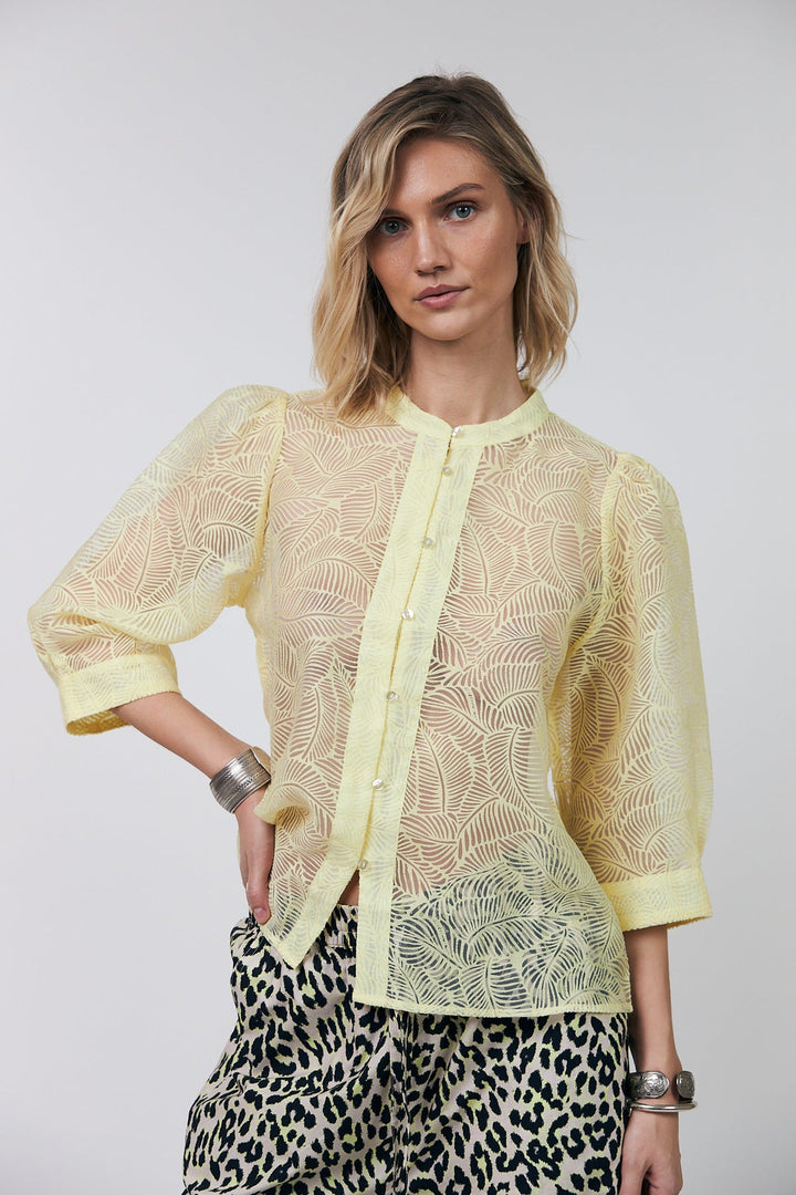 Bono Light yellow - Lolly’s Laundry - Orchid Boutique