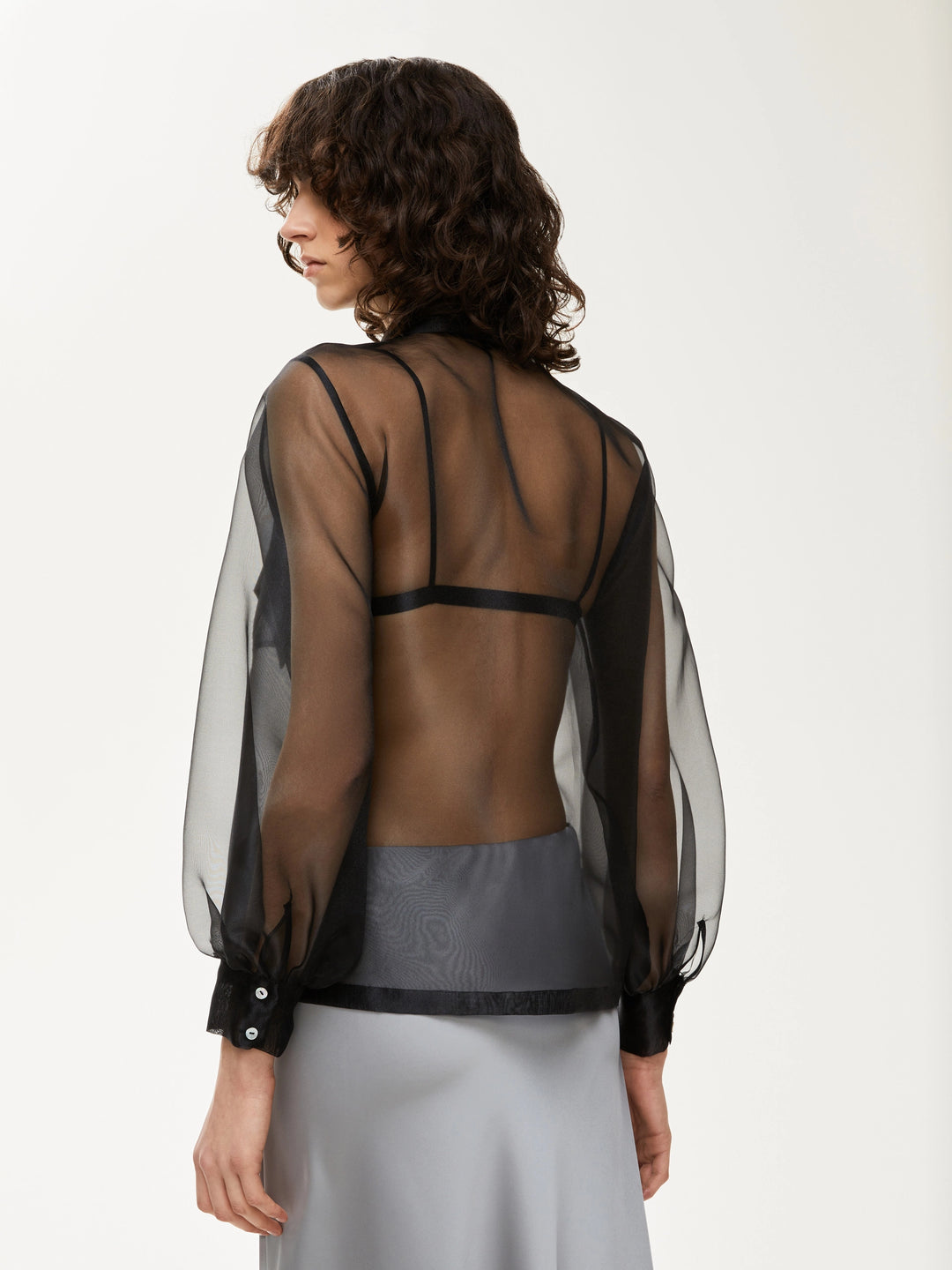 FILIPPO - iblues - Orchid Boutique