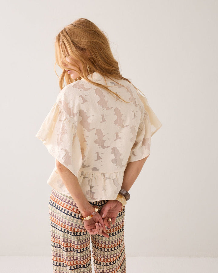 Ausbren - Summum - Orchid Boutique