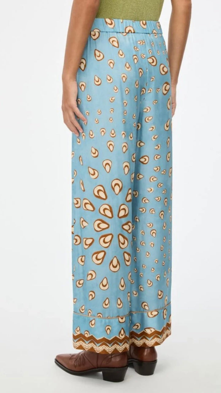 Ortensia - iblues - Orchid Boutique