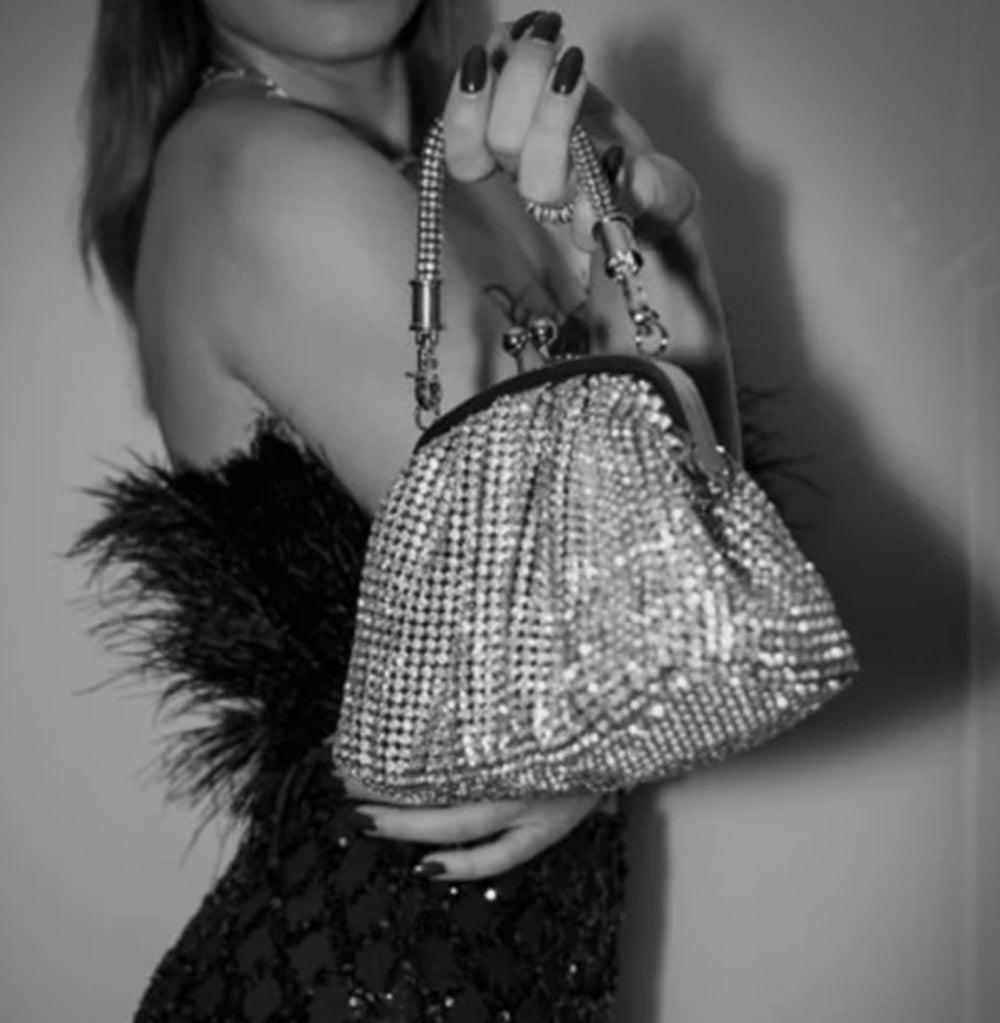 Silver Bag - Orchid Boutique - Orchid Boutique