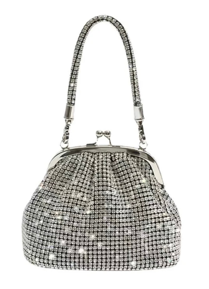 Silver Bag - Orchid Boutique - Orchid Boutique