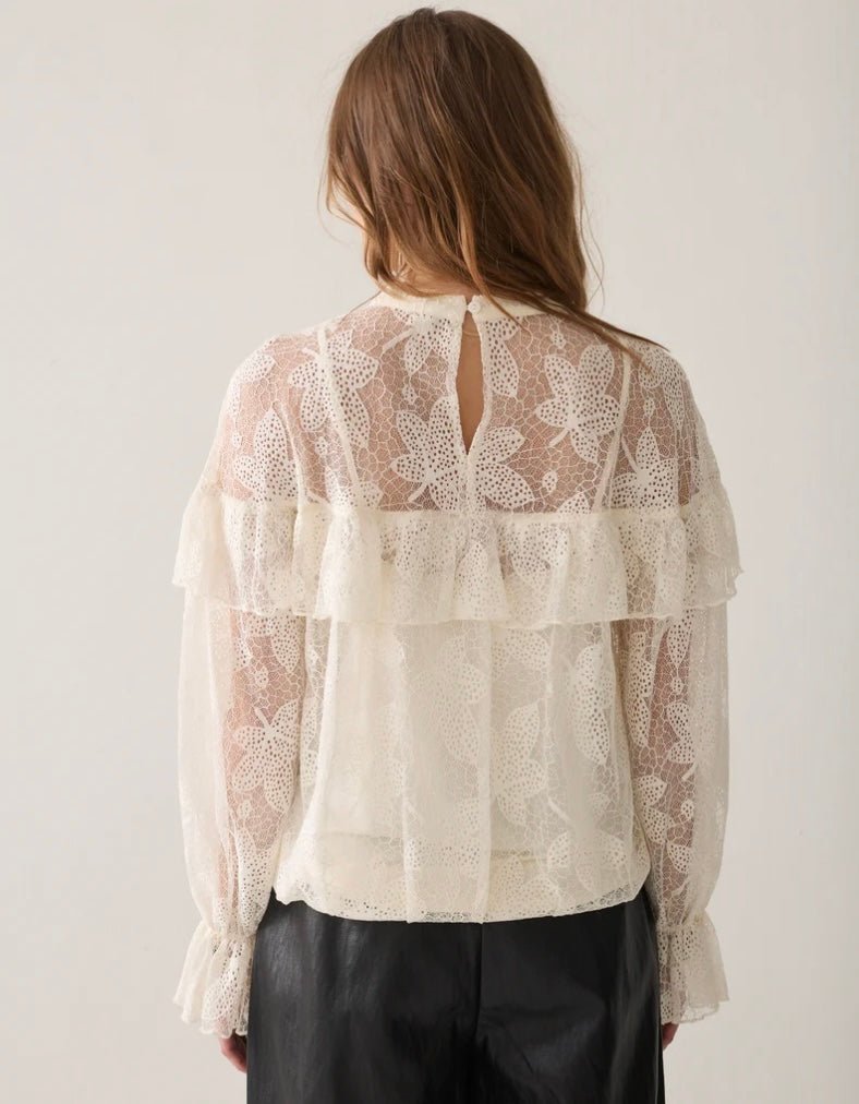 Sasha Lace - Summum - Orchid Boutique