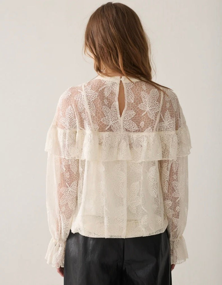 Sasha Lace - Summum - Orchid Boutique