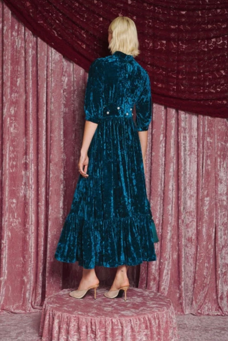 Phoenix Velvet Maxi dress
