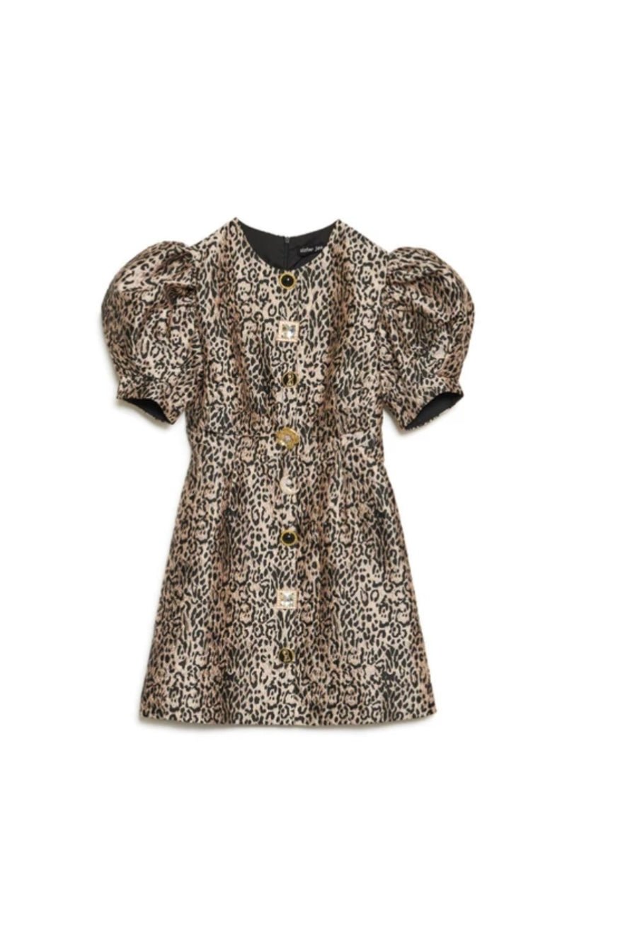 Charmed Jacquard Mini Dress - Sister Jane - Orchid Boutique