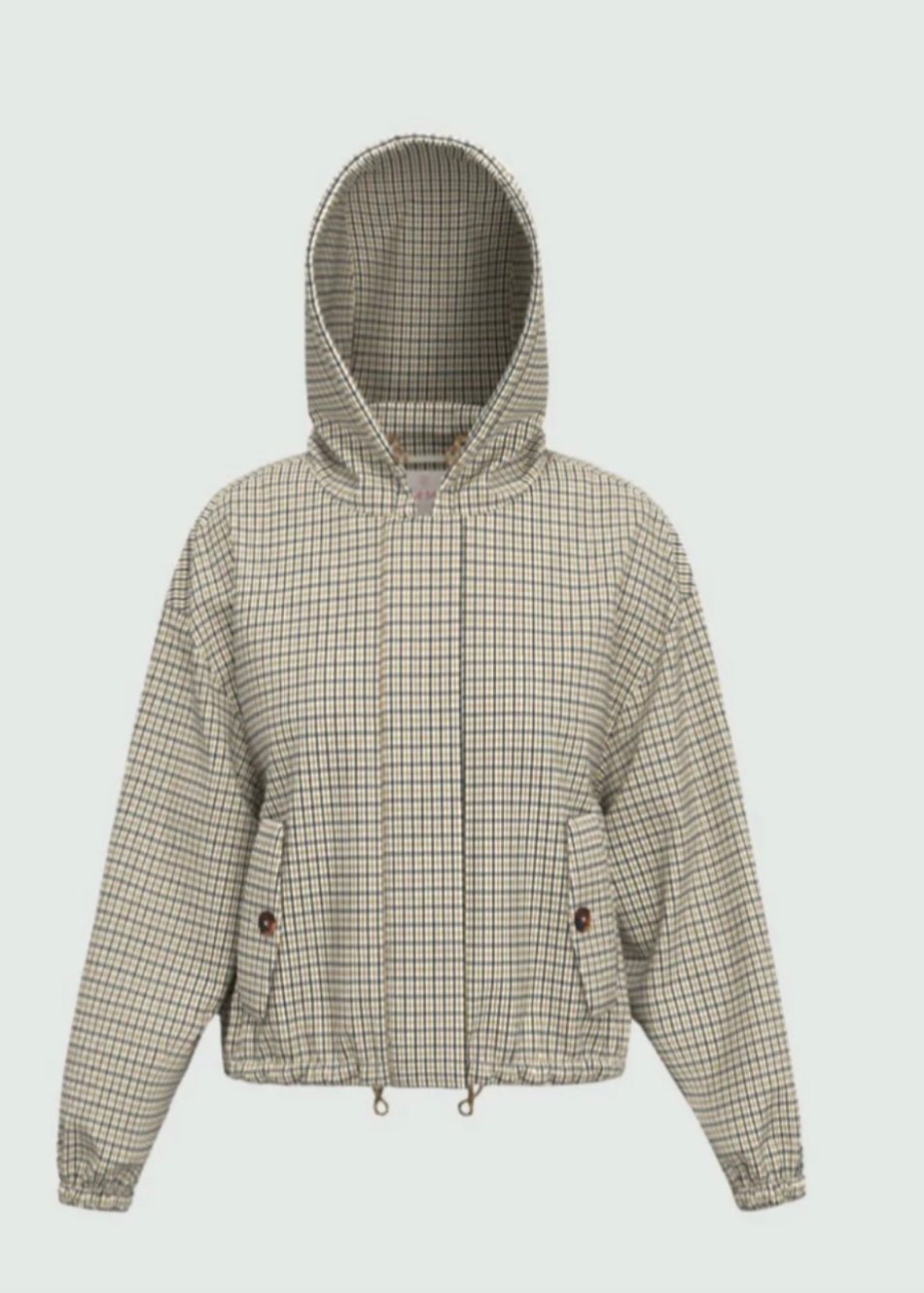 Zamia - Emme - Orchid Boutique