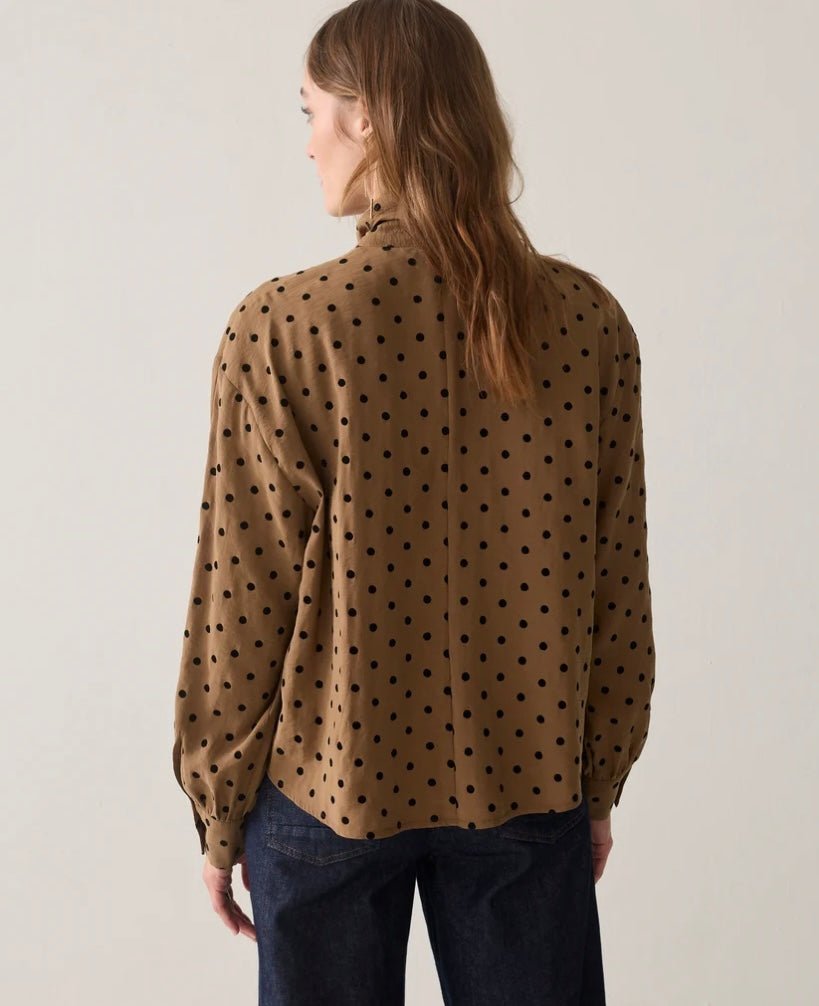 Corina - Summum - Orchid Boutique