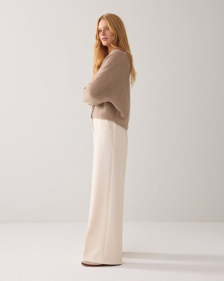 Gloria - Summum - Orchid Boutique