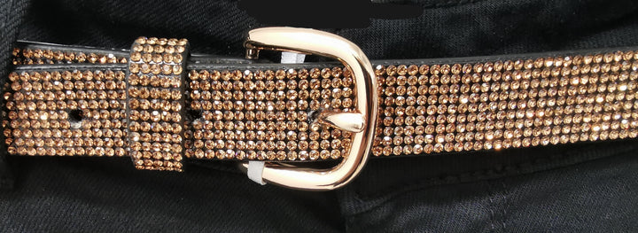 Posh Belt Bronze