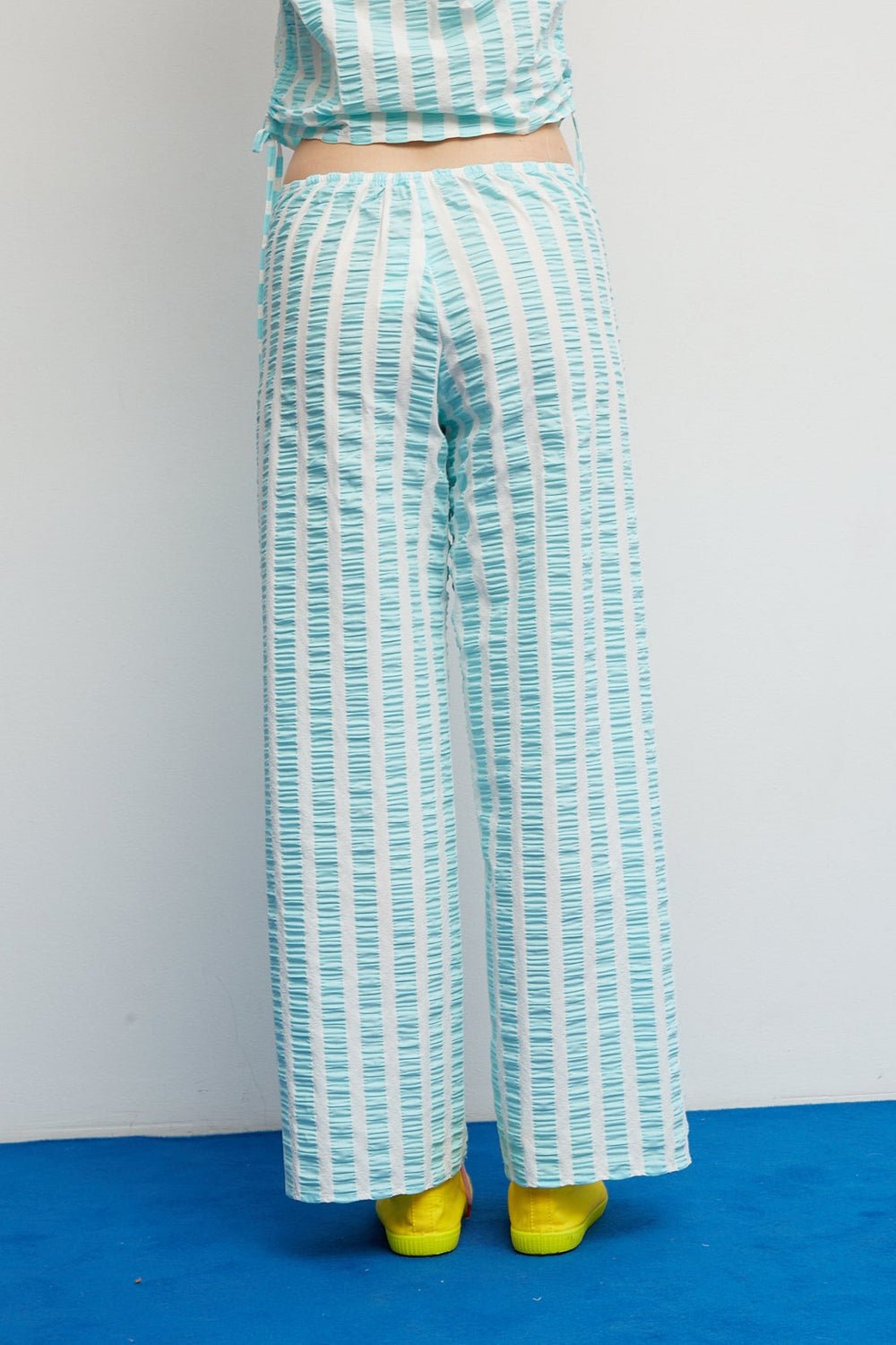 Lazo Aqua - Dr.Bloom - Orchid Boutique
